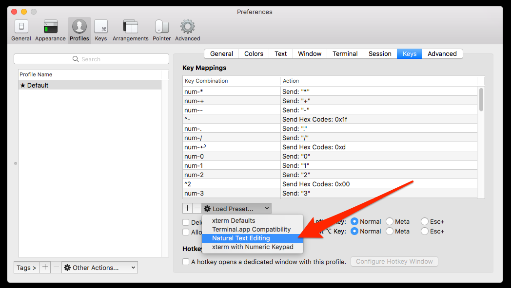 Enabling the 'Natural Text Editing' key mapping reset in iTerm2.